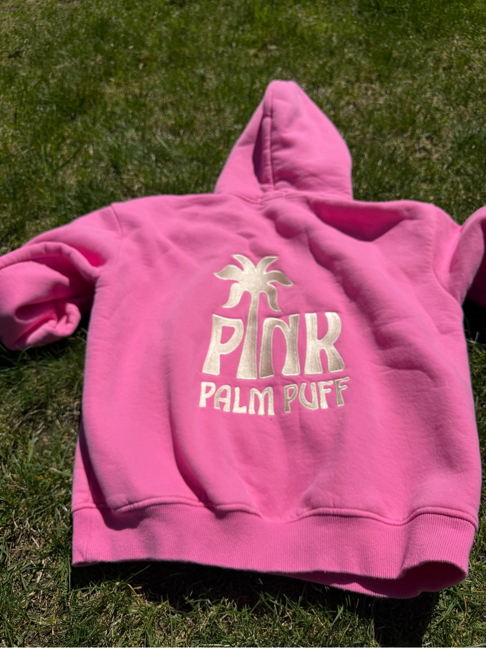 'PINK' Logo Hooded Sweatshirt - Pink